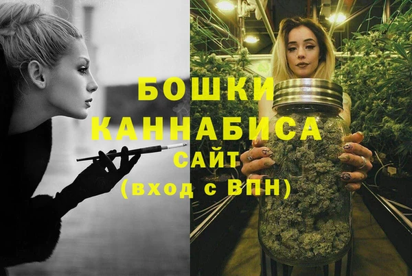 прущие крисы Надым