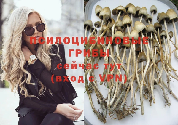 ПСИЛОЦИБИНОВЫЕ ГРИБЫ Навашино